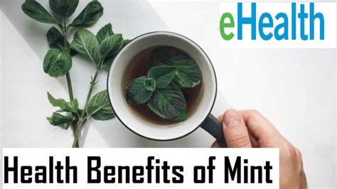 Health Benefits of Mint