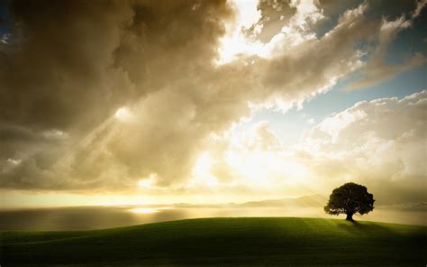 trees, Landscape, Sky, Clouds, Nature