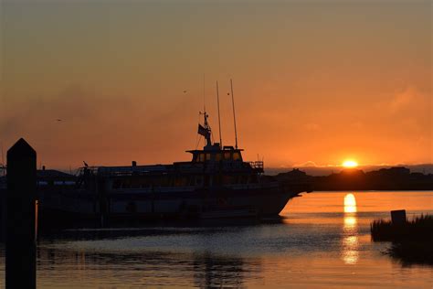 Boat Tours Near Murrells Inlet - The Inlet Sports Lodge