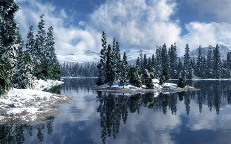 Snow Forest Wallpaper Desktop - WallpaperSafari