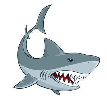 Clipart Sharks