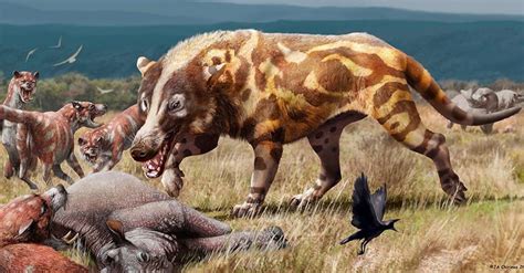 Andrewsarchus | Prehistoric Wiki | Fandom