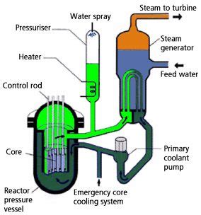 Nuclear reactor and primary coolant system