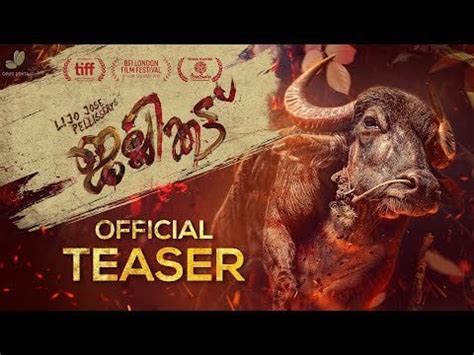 Jallikattu Official Teaser | Lijo Jose Pellissery | Chemban Vinod | Anto... : india