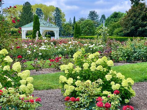 Hershey Gardens Roses - Been There Done That with Kids