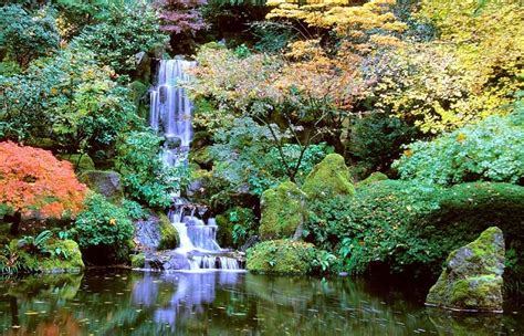 Portland's Breathtaking Japanese Gardens