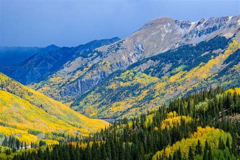 Beautiful Autumn Color in the Colorado Rocky Mountains. Peak Fall ...