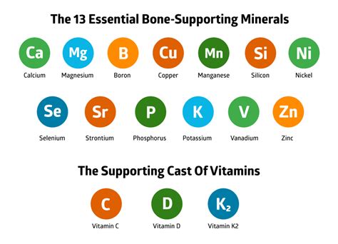 Best Calcium Supplement Brands - Compare the Best Brands | AlgaeCal