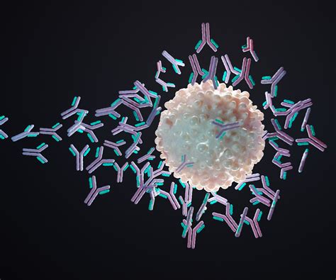 Pre-existing Immunogenicity: How Will Cell and Gene Therapies Change Our Testing Approach ...