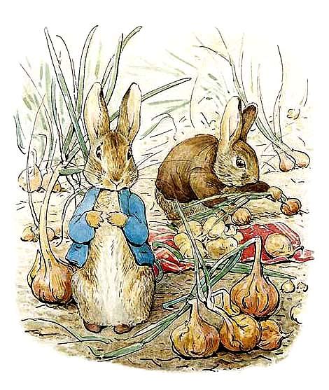 The Tale of Benjamin Bunny by Beatrix Potter