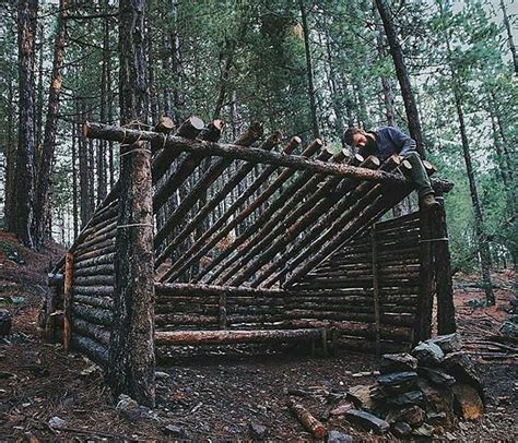 Building a Bushcraft Shelter with Dead Trees