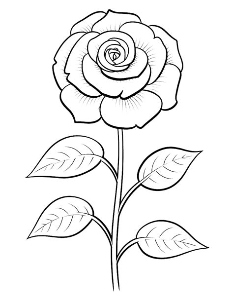 Rose Flower Picture For Coloring | Best Flower Site