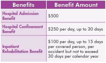 Risk Management and Insurance / Hospital Indemnity Plan