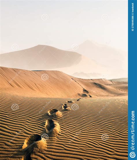 Footprints in the Sand in the Desert Stock Photo - Image of adventure, remote: 270049386