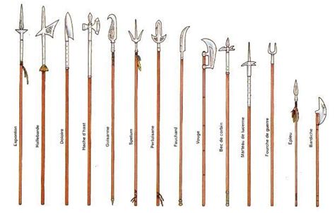 an image of different types of garden tools