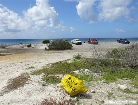 Getting THE BEST out of SCUBA DIVING BONAIRE! - Dive O'Clock!