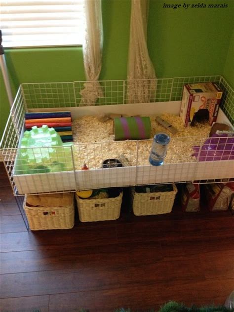 Diy Hedgehog Cage