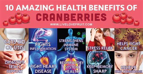 10 Awesome Benefits of Cranberries That’ll Supercharge Your Health! | Cranberry benefits, Fruit ...