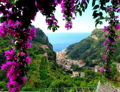 Bougainvillea view from Pontone over Amalfi, Italy. Photo by David van der Mark, Google+ ...