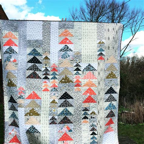 Pin by Marilyn Emmons on Quilts | Flying geese quilt, Flying geese, Modern quilts