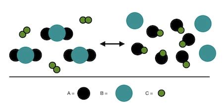 Representing a System Undergoing a Reversible Reaction with a Particulate Model | Chemistry ...