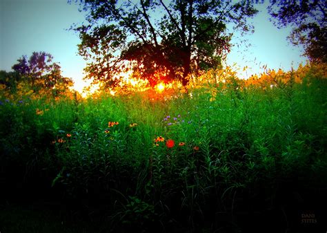 Sunset In The Meadow on Behance