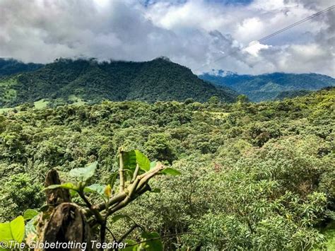 How to Spend 2 Days in the Mindo Cloud Forest - The Globetrotting Teacher