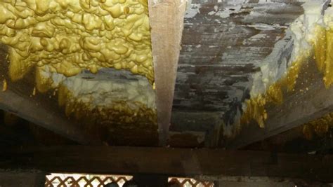 Pitfalls of spray foam insulation gone wrong - Sunlight Contractors