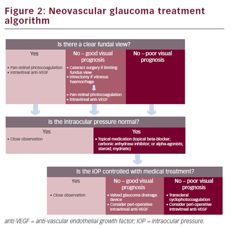 Reversing the Rubeotic Rampage – Current Approaches in the Management of Neovascular Glaucoma ...