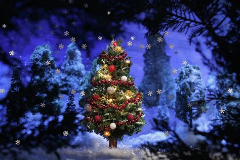 Christmas Tree Magic Photograph by Mark Wagoner | Fine Art America