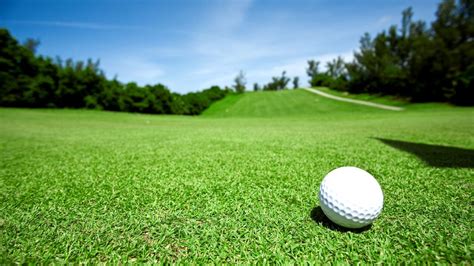 6 grass types every golfer should know, and how each affects your game