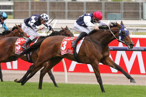 Derby winner nearing return | NZ Racing News