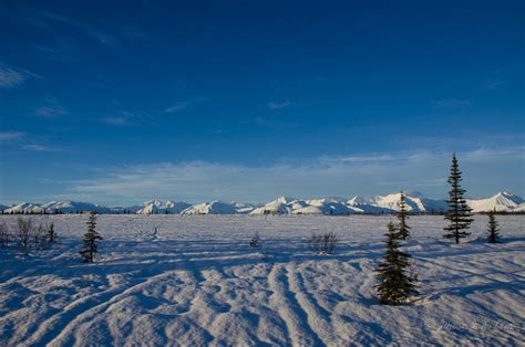 Runaway Photo: Alaska Railroad Aurora Winter Train