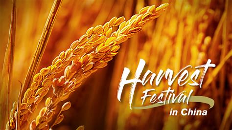 The evolution of China's harvest festival - CGTN