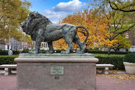 Lion Sculpture on the Campus of Columbia University Editorial Stock Photo - Image of tree, city ...