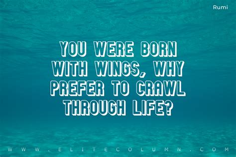 50 Wings Quotes That Will Empower You (2023) | EliteColumn