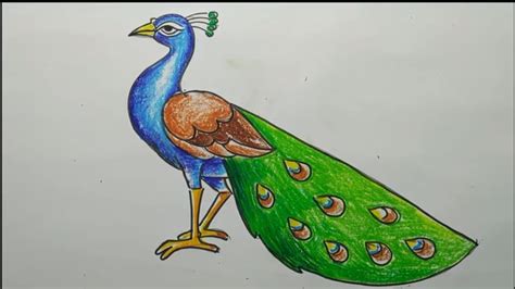 Beautiful Peacock Drawing Easy : You can draw a bird better, if you get ...