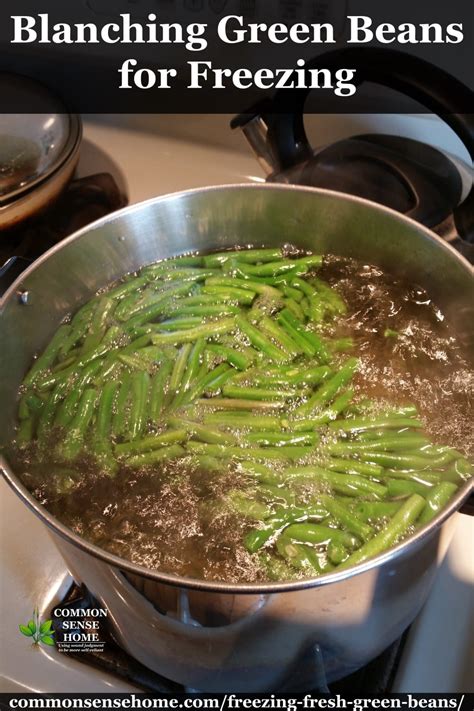 Freezing Green Beans With or Without Blanching, Step by Step