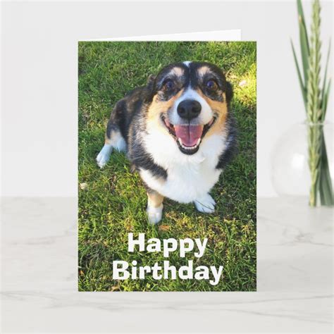 Cute Corgi Birthday Card | Zazzle