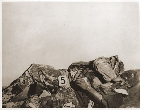 The corpse of an American soldier killed by the SS in the Malmedy atrocity. - Collections Search ...