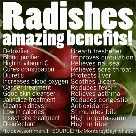 Pin by Sveta Lelyukh on Educational health info | Radishes benefits, How to cure nausea, How to ...