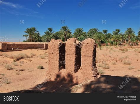 Oasis Sahara Desert Image & Photo (Free Trial) | Bigstock