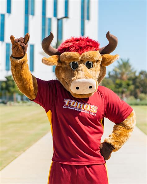 Staff Spotlight: Teddy the Toro – CSUDH News