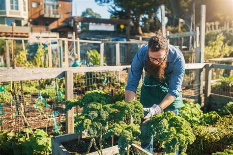 Can urban agriculture provide real solutions for food insecurity? | AGDAILY