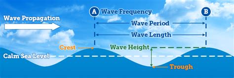 Label The Parts Of This Wave