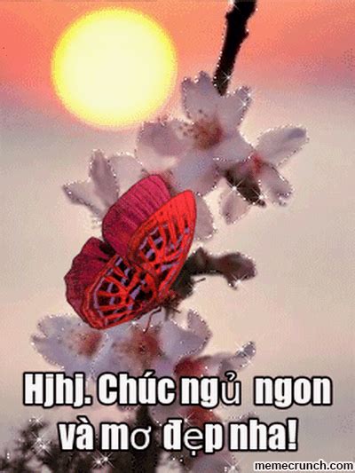 Hjhj. Chúc ngủ ngon và mơ đẹp nha! | Image papillon, Gif fleurs, Beau gif