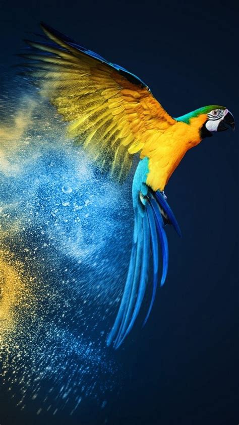 Parrot OS Mobile Wallpapers - Wallpaper Cave