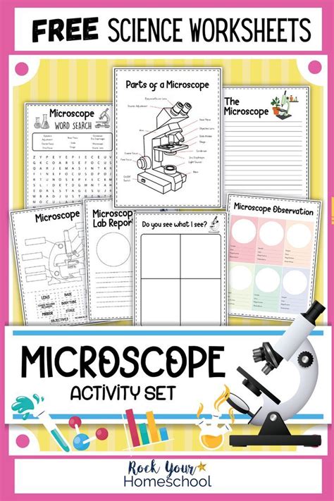 Free Microscope Worksheets for Simple Science Fun for Your Students | Free science worksheets ...