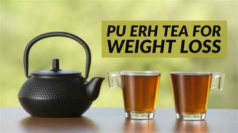 How to Lose Weight with Pu erh Tea - HERBS FOR HEALTH