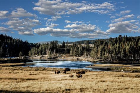 Yellowstone's 150th Anniversary - Words Are Monuments